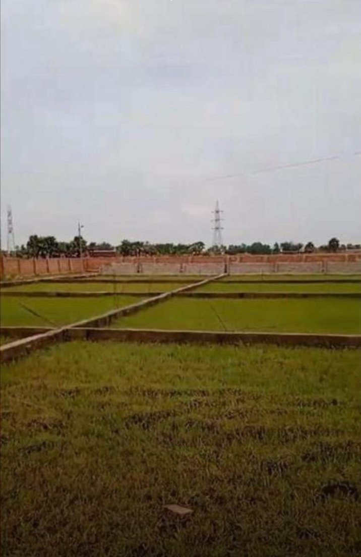property-1