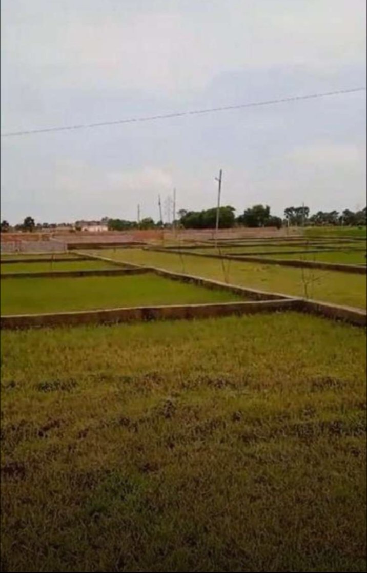 property-1